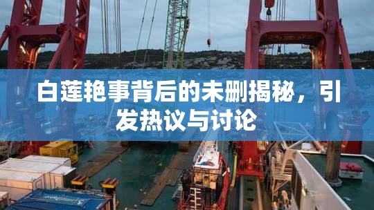 白莲艳事背后的未删揭秘，引发热议与讨论