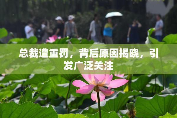 总裁遭重罚，背后原因揭晓，引发广泛关注