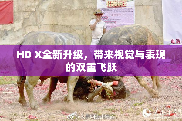 HD X全新升级，带来视觉与表现的双重飞跃