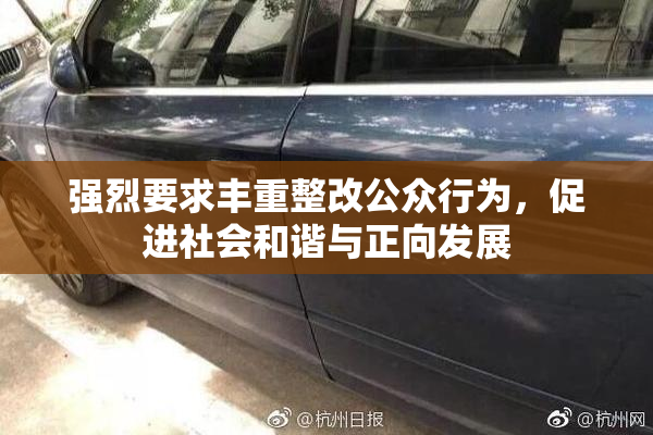 强烈要求丰重整改公众行为，促进社会和谐与正向发展