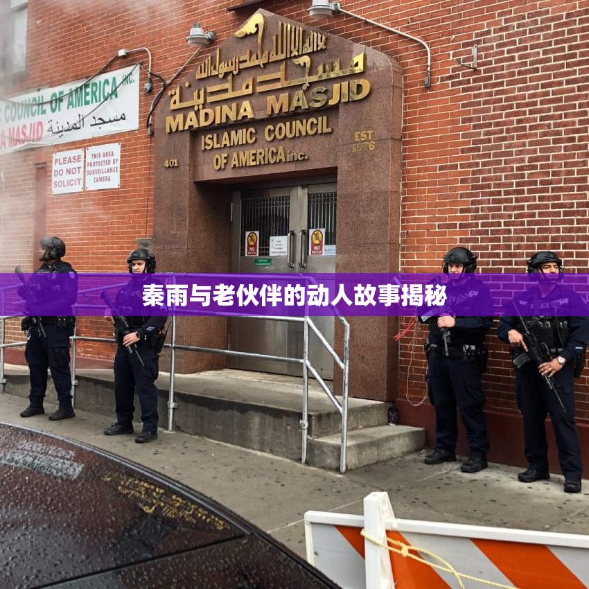 秦雨与老伙伴的动人故事揭秘