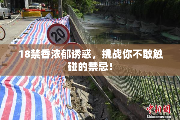 18禁香浓郁诱惑，挑战你不敢触碰的禁忌！