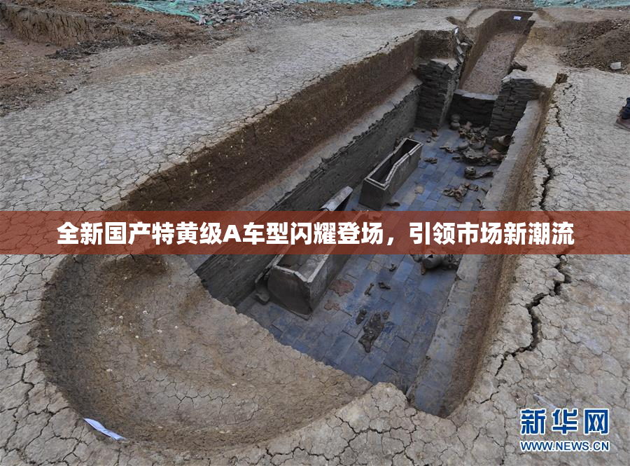 全新国产特黄级A车型闪耀登场，引领市场新潮流