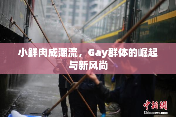 小鲜肉成潮流，Gay群体的崛起与新风尚
