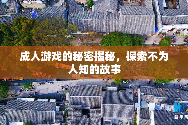 成人游戏的秘密揭秘，探索不为人知的故事
