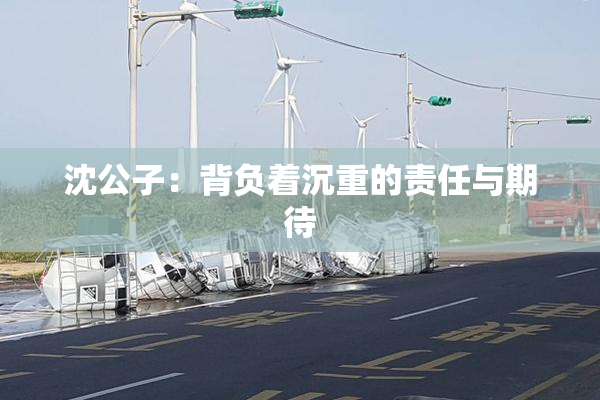 沈公子：背负着沉重的责任与期待