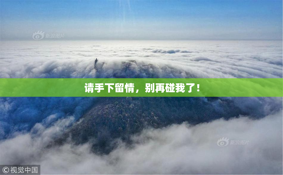 请手下留情，别再碰我了！