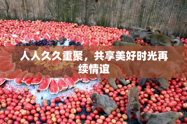 人人久久重聚，共享美好时光再续情谊
