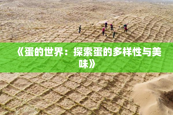 《蛋的世界：探索蛋的多样性与美味》