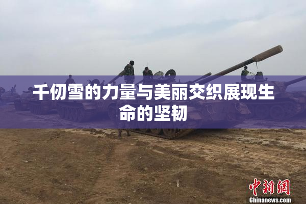 千仞雪的力量与美丽交织展现生命的坚韧