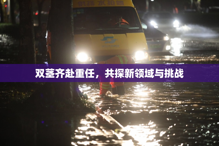 双茎齐赴重任，共探新领域与挑战