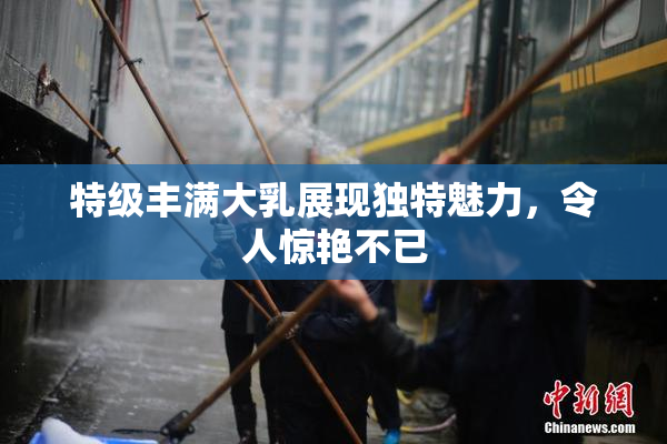 特级丰满大乳展现独特魅力，令人惊艳不已