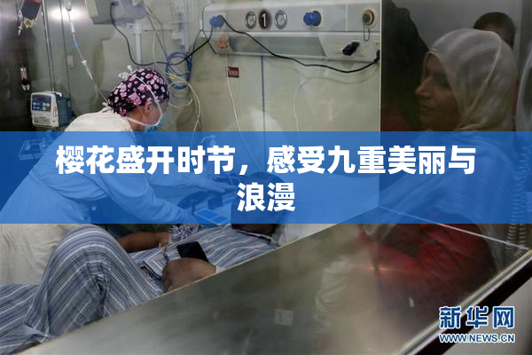 樱花盛开时节，感受九重美丽与浪漫