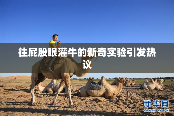 往屁股眼灌牛的新奇实验引发热议