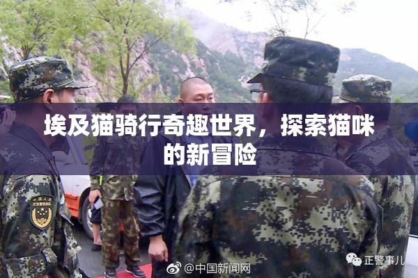 埃及猫骑行奇趣世界，探索猫咪的新冒险