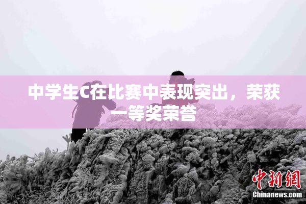 中学生C在比赛中表现突出，荣获一等奖荣誉