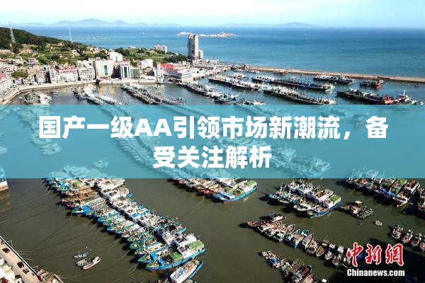 国产一级AA引领市场新潮流，备受关注解析