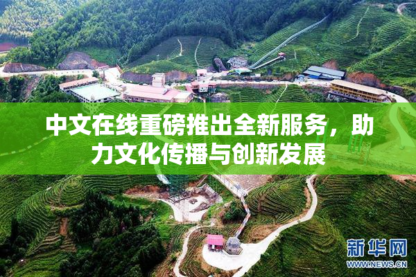 中文在线重磅推出全新服务，助力文化传播与创新发展