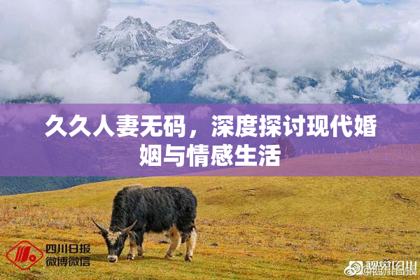 久久人妻无码，深度探讨现代婚姻与情感生活