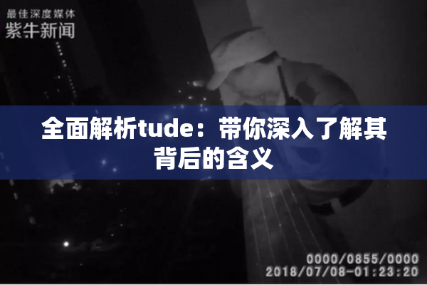 全面解析tude：带你深入了解其背后的含义