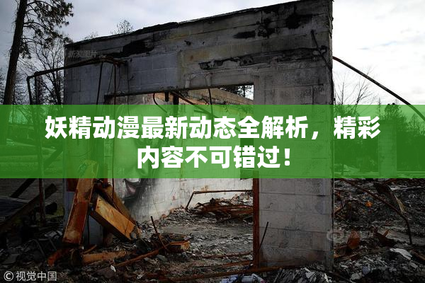 妖精动漫最新动态全解析，精彩内容不可错过！