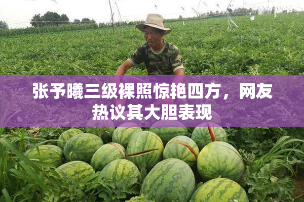 张予曦三级裸照惊艳四方，网友热议其大胆表现