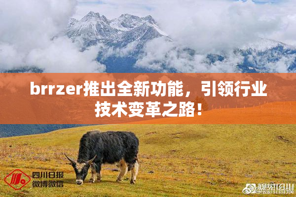brrzer推出全新功能，引领行业技术变革之路！