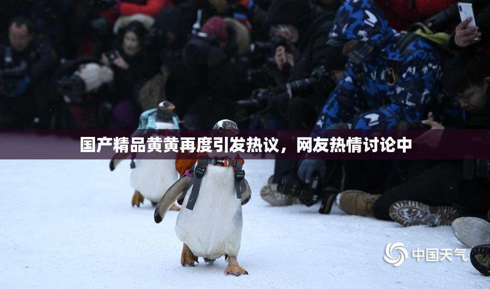 国产精品黄黄再度引发热议，网友热情讨论中