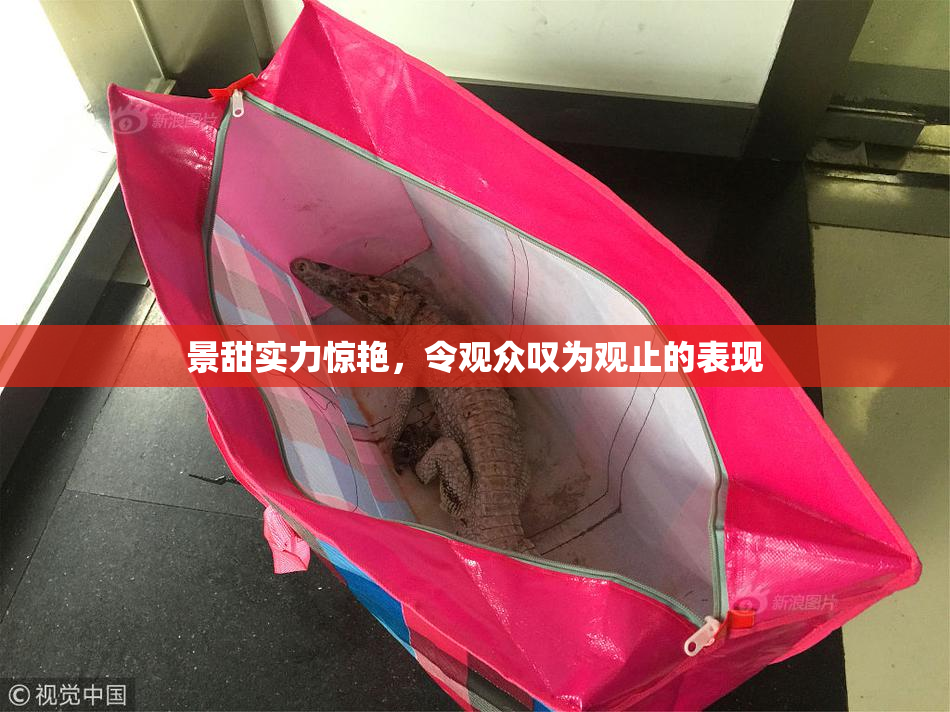 景甜实力惊艳，令观众叹为观止的表现
