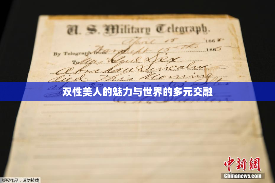 双性美人的魅力与世界的多元交融