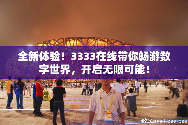 全新体验！3333在线带你畅游数字世界，开启无限可能！