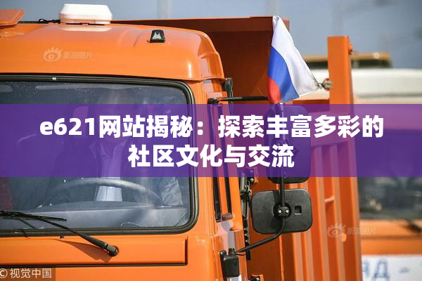 e621网站揭秘：探索丰富多彩的社区文化与交流