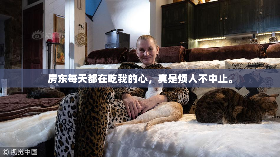 房东每天都在吃我的心，真是烦人不中止。