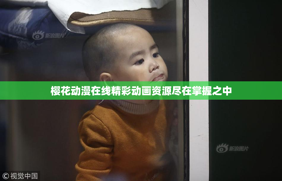 樱花动漫在线精彩动画资源尽在掌握之中