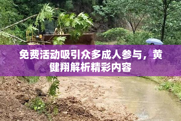 免费活动吸引众多成人参与，黄健翔解析精彩内容