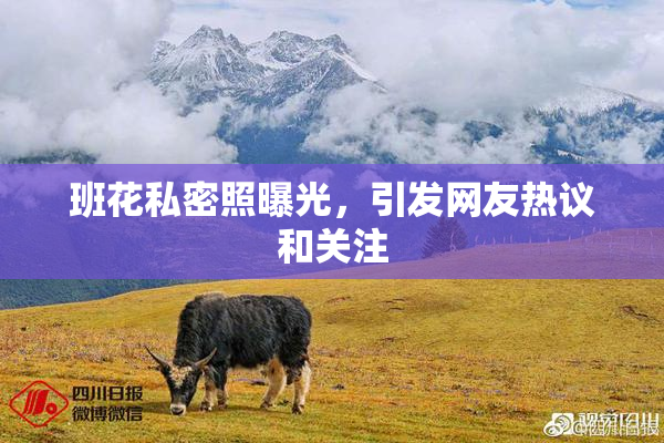 班花私密照曝光，引发网友热议和关注