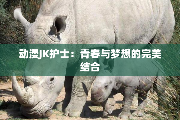 动漫JK护士：青春与梦想的完美结合