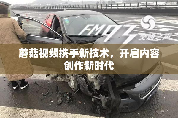 蘑菇视频携手新技术，开启内容创作新时代