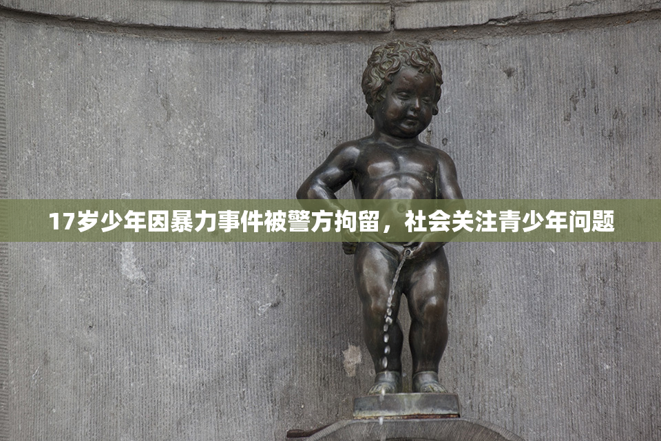 17岁少年因暴力事件被警方拘留，社会关注青少年问题