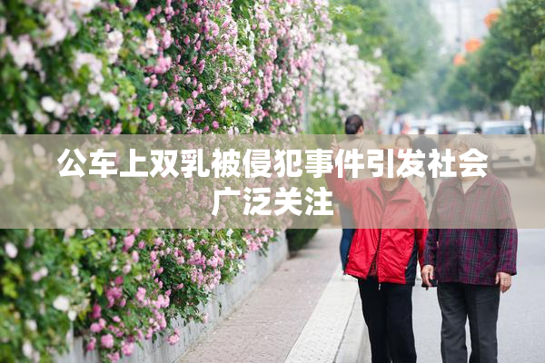 公车上双乳被侵犯事件引发社会广泛关注