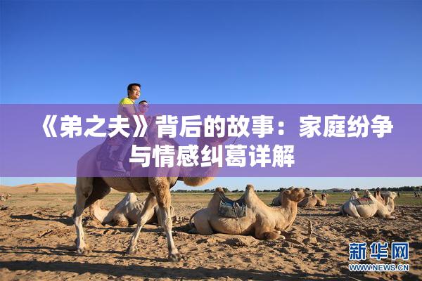 《弟之夫》背后的故事：家庭纷争与情感纠葛详解