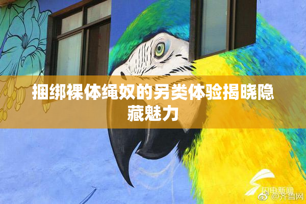 捆绑裸体绳奴的另类体验揭晓隐藏魅力