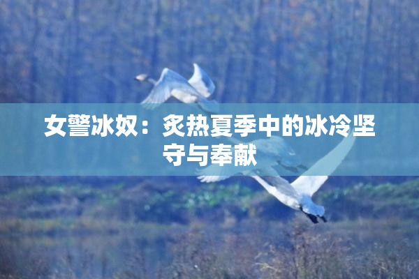女警冰奴：炙热夏季中的冰冷坚守与奉献