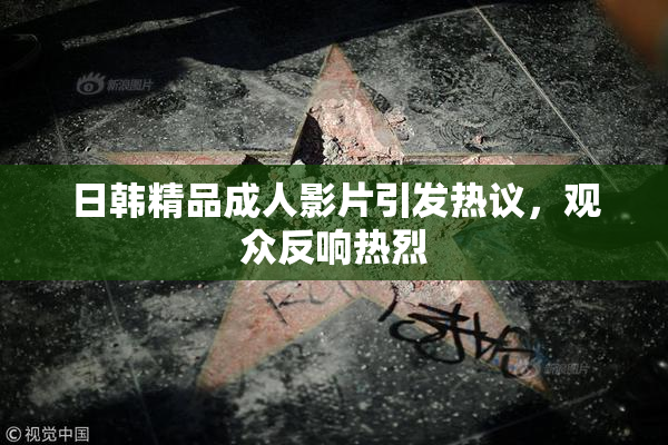 日韩精品成人影片引发热议，观众反响热烈