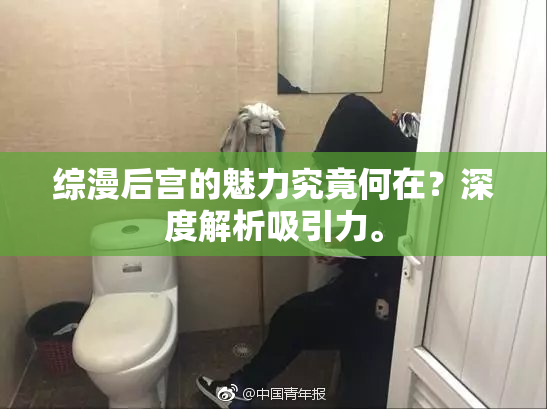 综漫后宫的魅力究竟何在？深度解析吸引力。