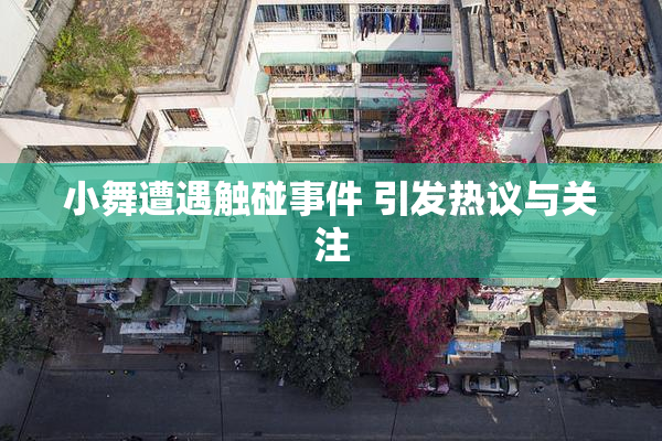小舞遭遇触碰事件 引发热议与关注