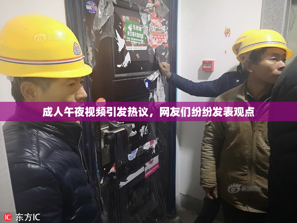 成人午夜视频引发热议，网友们纷纷发表观点