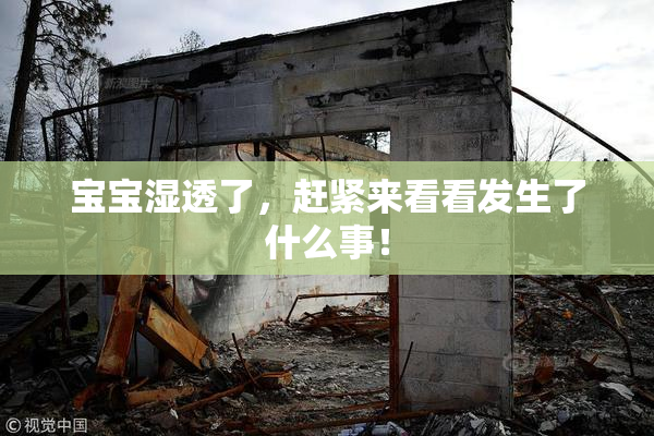 宝宝湿透了，赶紧来看看发生了什么事！