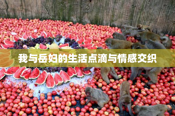 我与岳妇的生活点滴与情感交织