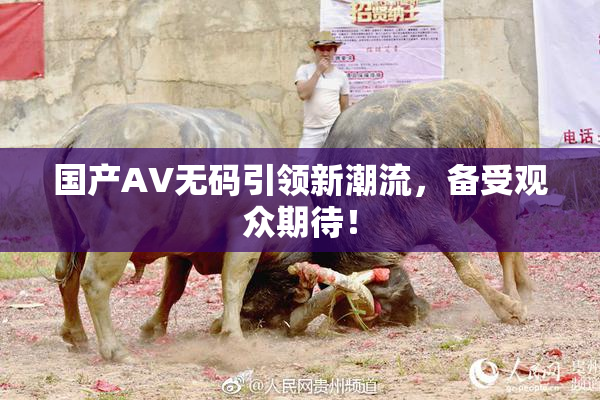 国产AV无码引领新潮流，备受观众期待！